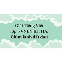 Giải Tiếng Việt lớp 5 VNEN Bài 11A: Chim lành đất đậu