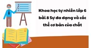 Khoa học tự nhiên lớp 6 bài 8 Sự đa dạng và các thể cơ bản của chất