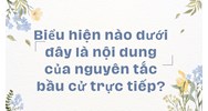 Biểu hiện nào dưới đây là nội dung của nguyên tắc bầu cử trực tiếp?