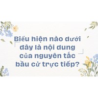 Biểu hiện nào dưới đây là nội dung của nguyên tắc bầu cử trực tiếp?