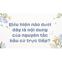 Biểu hiện nào dưới đây là nội dung của nguyên tắc bầu cử trực tiếp?