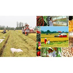 Thành viên hợp tác xã có được góp vốn thấp hơn vốn góp tối thiểu quy định trong điều lệ không?