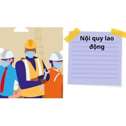 Công ty trách nhiệm hữu hạn có cần đăng ký nội quy lao động?