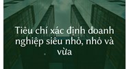 Những đặc điểm nào để xác định doanh nghiệp siêu nhỏ, nhỏ và vừa?