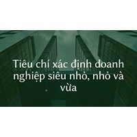 Những đặc điểm nào để xác định doanh nghiệp siêu nhỏ, nhỏ và vừa?