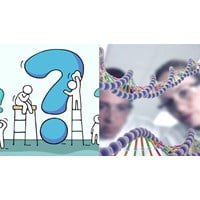 Nội dung cơ bản của định luật Hacđi - Vanbec là?