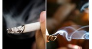 Hàm lượng Nicotin tối đa trong một điếu thuốc lá là bao nhiêu?