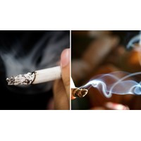 Hàm lượng Nicotin tối đa trong một điếu thuốc lá là bao nhiêu?