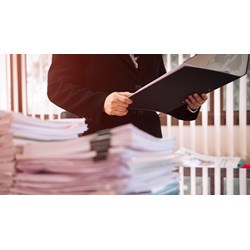 Hồ sơ mời thầu với đấu thầu quốc tế phát hành miễn phí trên Hệ thống?