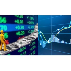 Danh mục đầu tư của quỹ hoán đổi danh mục (ETF)?