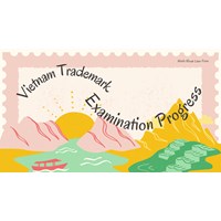 Understanding Vietnam's Trademark Examination Process