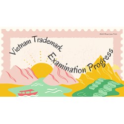 Understanding Vietnam's Trademark Examination Process