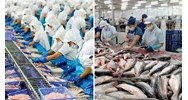 Danh mục động vật và sản phẩm động vật thủy sản miễn kiểm dịch