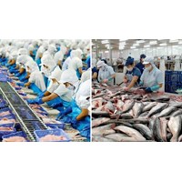 Danh mục động vật và sản phẩm động vật thủy sản miễn kiểm dịch