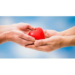Thủ tục đăng ký hiến tạng ở người sống thực hiện như thế nào?
