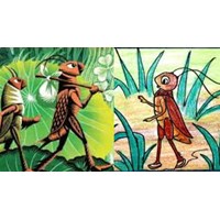 Dàn ý phân tích bài Bài học đường đời đầu tiên chi tiết hay nhất