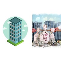 Những ai có trách nhiệm đóng phí bảo trì chung cư?