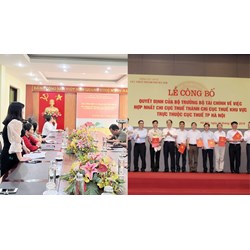 Trưởng phòng và tương đương thuộc Chi cục thuộc Cục thuộc Bộ là ai?