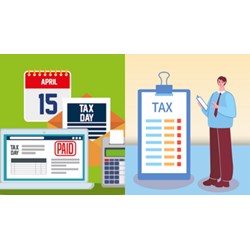 Thời hạn để nộp phí môn bài được quy định như thế nào?