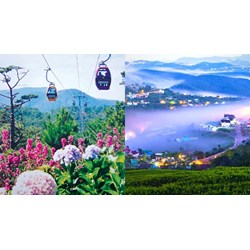 Thành phố nổi tiếng về trồng hoa và rau ôn đới ở Tây Nguyên là?