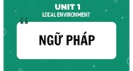 Ngữ pháp tiếng Anh lớp 9 Unit 1 Local Environment mới nhất