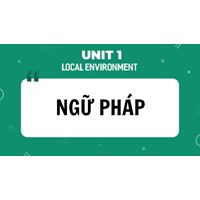 Ngữ pháp tiếng Anh lớp 9 Unit 1 Local Environment mới nhất