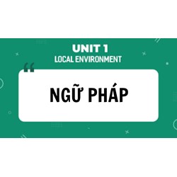 Ngữ pháp tiếng Anh lớp 9 Unit 1 Local Environment mới nhất