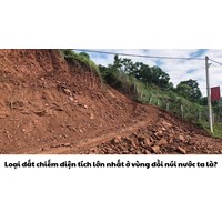 Loại đất chiếm diện tích lớn nhất ở vùng đồi núi nước ta là?