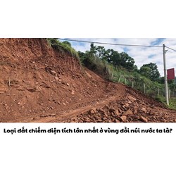 Loại đất chiếm diện tích lớn nhất ở vùng đồi núi nước ta là?