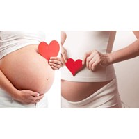 Có được hưởng chế độ thai sản khi công ty nợ tiền BHXH hay không?