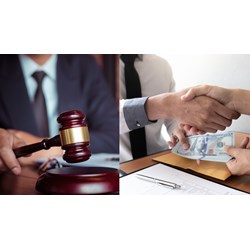 Có tử hình đối với người thực hiện hành vi thông thầu hay không?