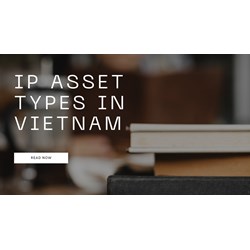 Protect Your Creations in Vietnam: IP Asset Types