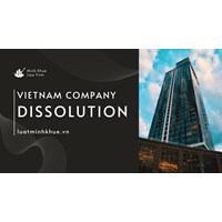 Vietnam Company Dissolution: The Complete Process