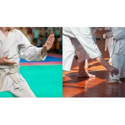 Nhiệm vụ của Liên đoàn Karatedo thành phố Hà Nội là gì?