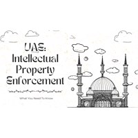 UAE Intellectual Property Enforcement: What You Need to Know
