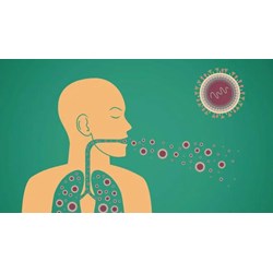 Thủ tướng yêu cầu tăng cường công tác phòng, chống bệnh Lao