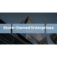 Vietnam State-Owned Enterprises (SOEs): Types Explained