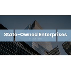 Vietnam State-Owned Enterprises (SOEs): Types Explained