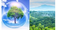 Khái niệm sinh quyển là gì? - Sinh học lớp 10