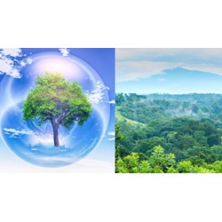 Khái niệm sinh quyển là gì? - Sinh học lớp 10