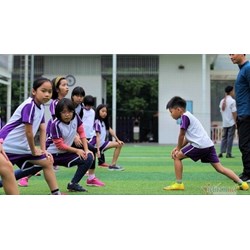 Thành lập trường năng khiếu thể thao phải đáp ứng các điều kiện gì?