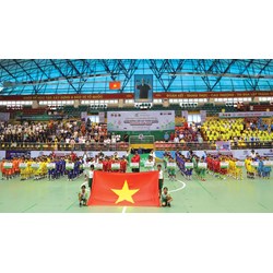 Vận động viên thể thao thành tích cao có quyền và nghĩa vụ ra sao?