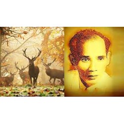 Dàn ý Phân tích bài thơ Tiếng thu - Lưu Trọng Lư chi tiết, siêu hay