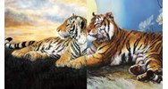 Dàn ý Phân tích hai khổ thơ đầu bài thơ Nhớ rừng chi tiết nhất