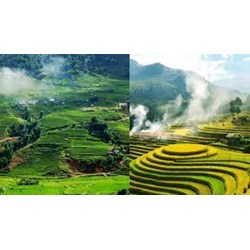 Dàn ý Phân tích bức tranh tứ bình trong bài thơ Việt Bắc hay nhất