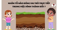 Nhân tố nào sau đây đóng vai trò trực tiếp trong việc hình thành đất?