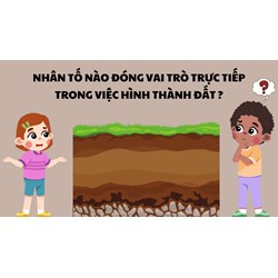 Nhân tố nào sau đây đóng vai trò trực tiếp trong việc hình thành đất?