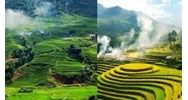 Dàn ý Cảm nhận bài thơ Quê hương của Tế Hanh chi tiết hay nhất