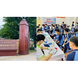Sử dụng ma tuý lần đầu có phải đi cai nghiện bắt buộc không?