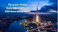 Tổng Sản Phẩm Quốc Nội (GDP) của Việt Nam (theo năm)